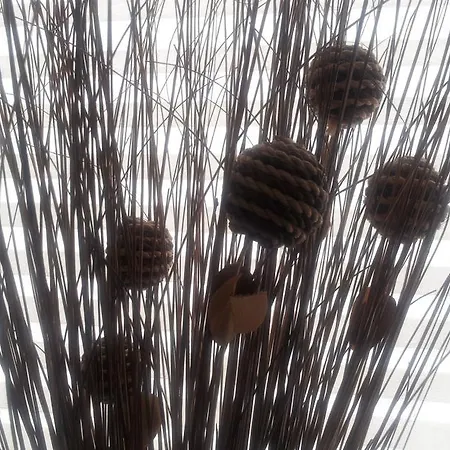 Πανσιόν Haselmann 2*